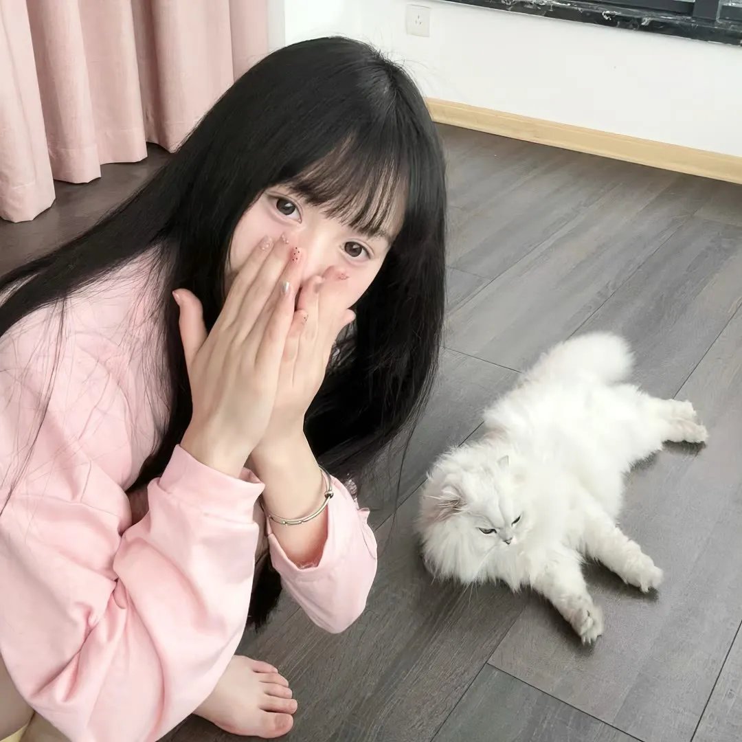 商谍